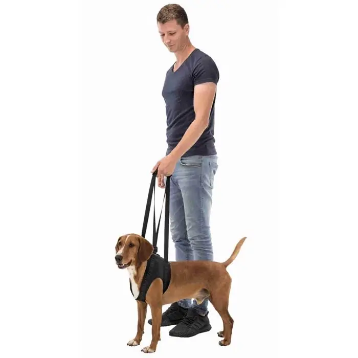 Trixie Walking Aid Gåsele För Stöd Till Hunden MEDIUM Endast idag